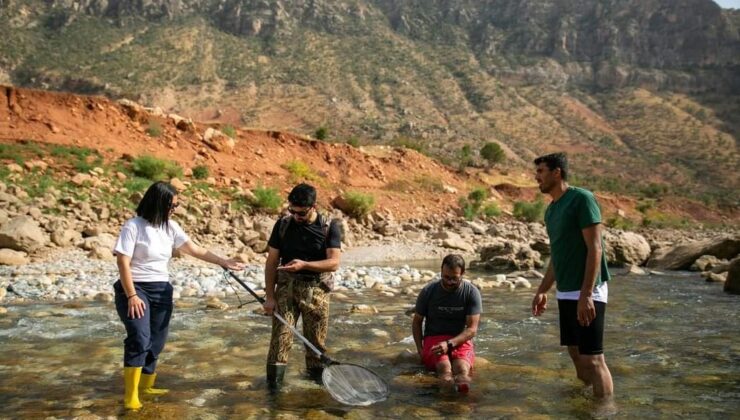 Leopar Bıyıklısı Dicle Nehri’nde görüntülendi