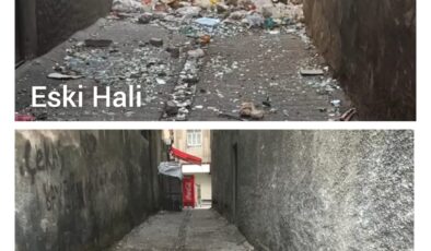Vatandaş talep etti; Bağlar Belediyesi temizledi