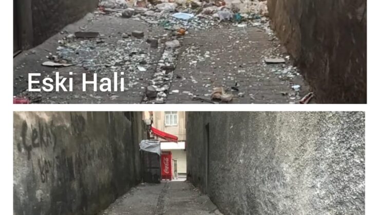 Vatandaş talep etti; Bağlar Belediyesi temizledi