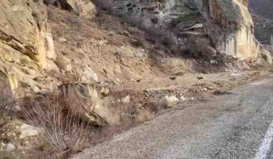 Yolda keçi sürprizi dikkat çekti