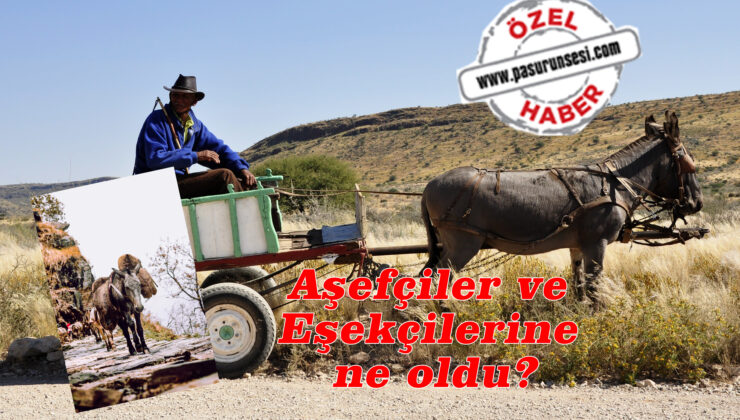 Aşefçiler ve Eşekçilerine ne oldu