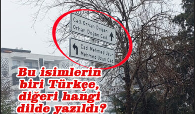 Diyarbakır’da Tabeladaki Diller Tartışma Yaratıyor