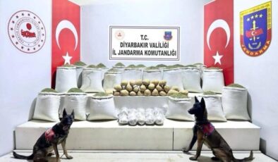 Aralarında Diyarbakır’ın da bulunduğu 46 ilde operasyon