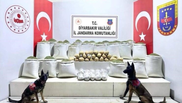 Aralarında Diyarbakır’ın da bulunduğu 46 ilde operasyon