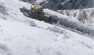 Kulp’ta kar kalınlığı 80 cm’ye ulaştı