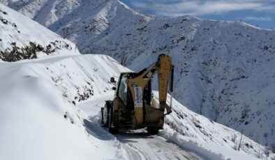Kulp ilçesinde  58 kırsal mahallenin yolu kardan temizlendi