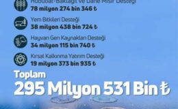 Çiftçilere 295 milyon TL destek