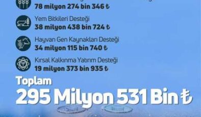 Çiftçilere 295 milyon TL destek