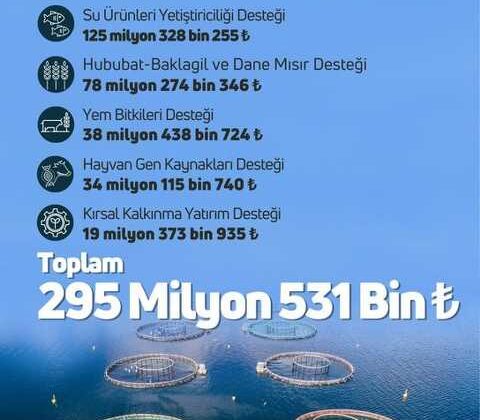 Çiftçilere 295 milyon TL destek