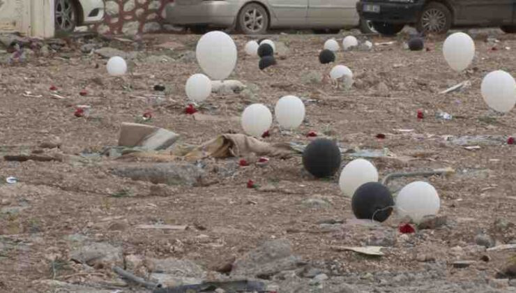 Adıyaman’da anma balonları ve karanfiller