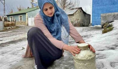 Ağrı’da toprak altı peynir sırrı