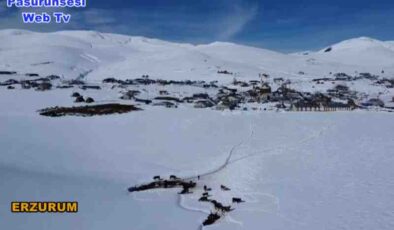 Doğuda besicilerin kış mesaisi zorlukla dolu