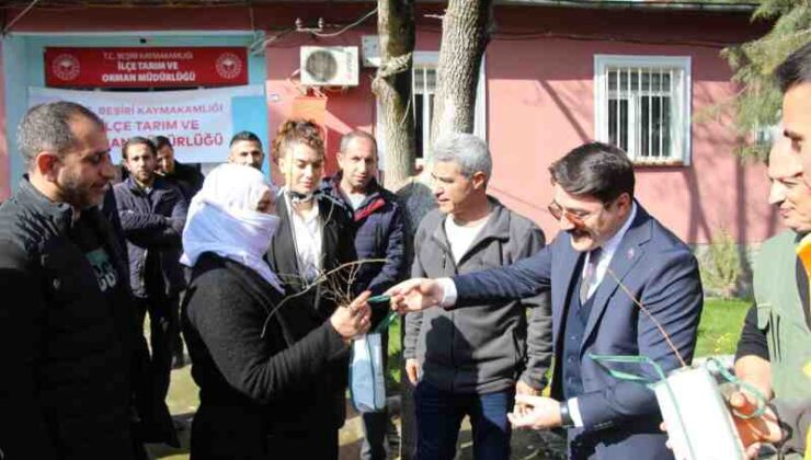 Beşiri’ye yeşil dokunuş: ücretsiz fidanlar