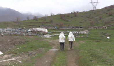 Bitlis balına Paris’ten altın