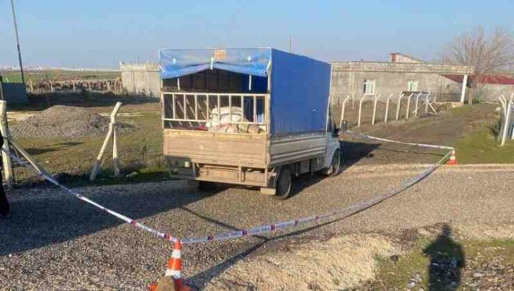 Çınar’da küçük bir hayat söndü