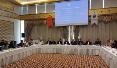 ”Diyarbakır yerel hizmetlerde neler kaybediyor”