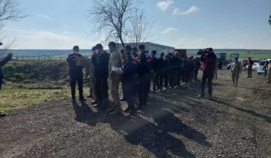 Diyarbakır’da 72 Göçmen Yakalandı