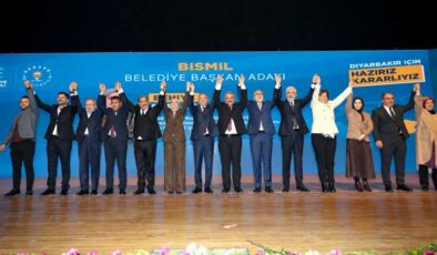 Efkan Ala’dan  Diyarbakır’a kardeşlik vurgusu