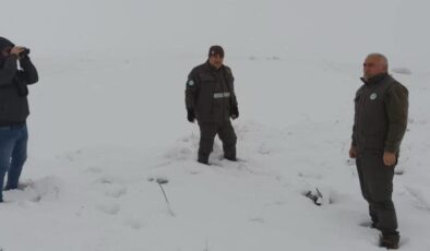 Doğada kaçak avcılara geçit yok