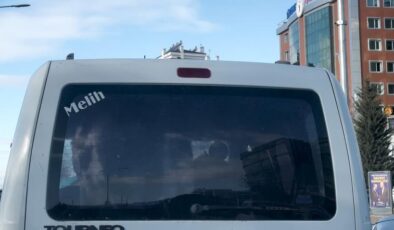 Elazığ’da araçta buzağı şaşkınlığı