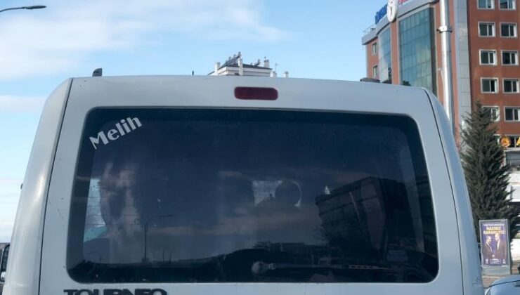 Elazığ’da araçta buzağı şaşkınlığı