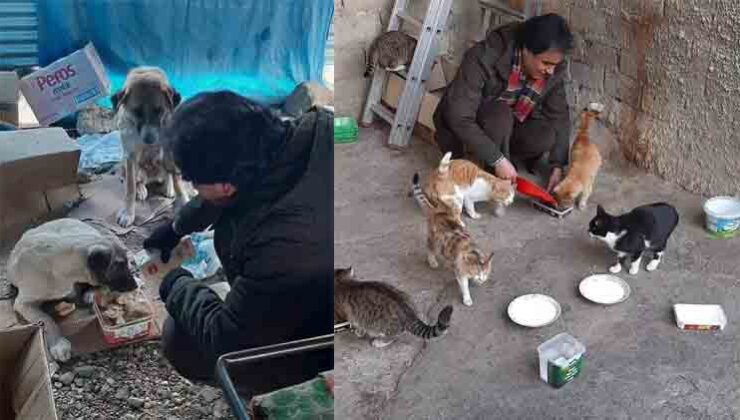 Elazığ’da hayvan sevgisi örneği