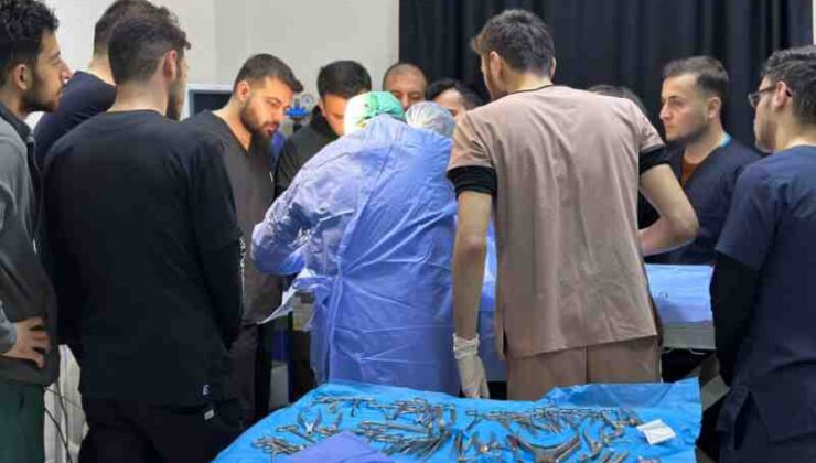 Fındık’tan dev taş çıktı