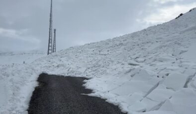 Van’da erken çığ tehlikesi