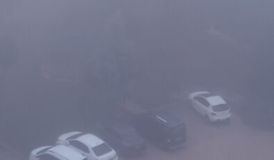Diyarbakır’da yoğun sis !