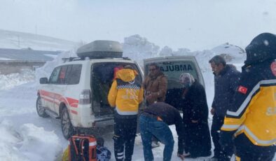 Kar altında bir yaşam savaşı