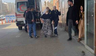 Kocaköy’de yaşlı kadına kendi köpeği saldırdı