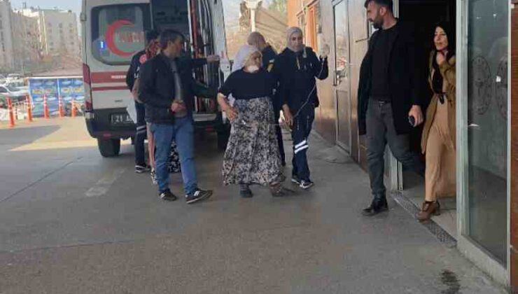 Kocaköy’de yaşlı kadına kendi köpeği saldırdı
