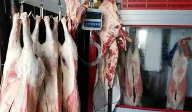 Kulp’ta kasaplar hayvan sıkıntısı çekiyor