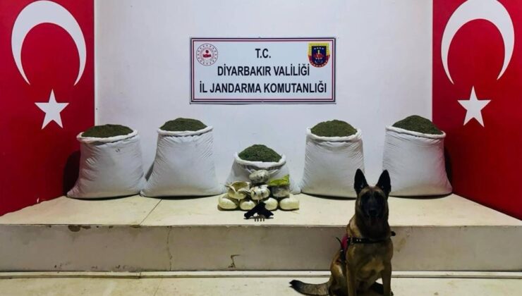 Lice’de 91 kilogram toz esrar ele geçirildi
