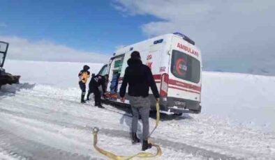 Malazgirt’te ambulans şarampole düştü