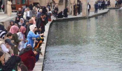 Şanlıurfa’da kışta bahar keyfi
