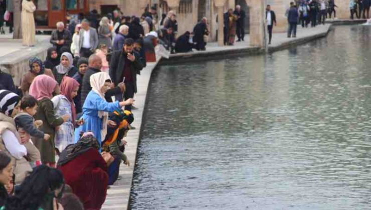 Şanlıurfa’da kışta bahar keyfi