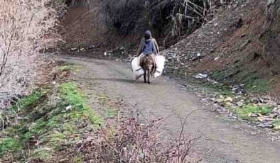 Selde yolu çöken köyde, eşeklerle yem taşınıyor