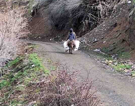Selde yolu çöken köyde, eşeklerle yem taşınıyor