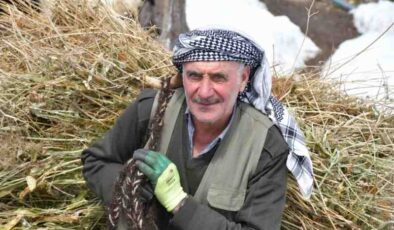 Şırnak’ta besicilerin zorlu kış mesaisi