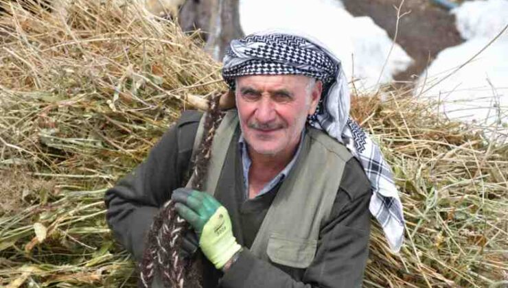 Şırnak’ta besicilerin zorlu kış mesaisi