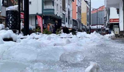 Tatvan’da dondurucu soğuklar hayatı felç etti