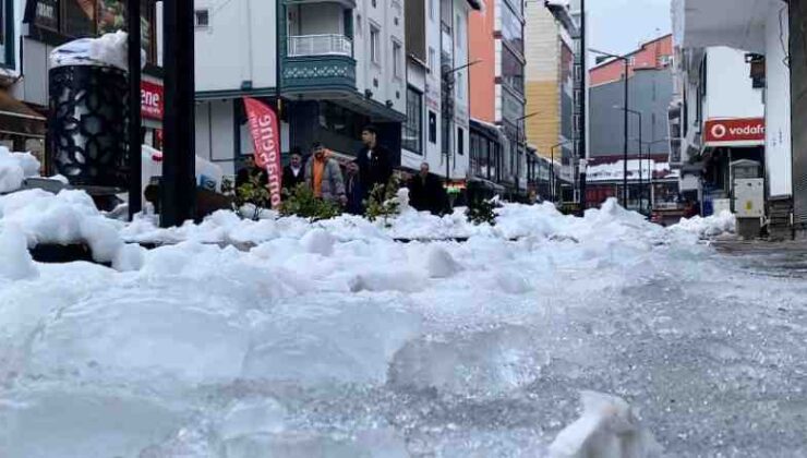Tatvan’da dondurucu soğuklar hayatı felç etti