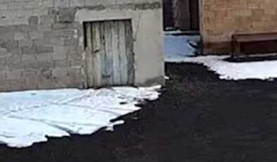 Tilkinin tavuk avı güvenlik kamerasında