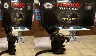 Tunceli’de Fırtına’nın uyuşturucu avı