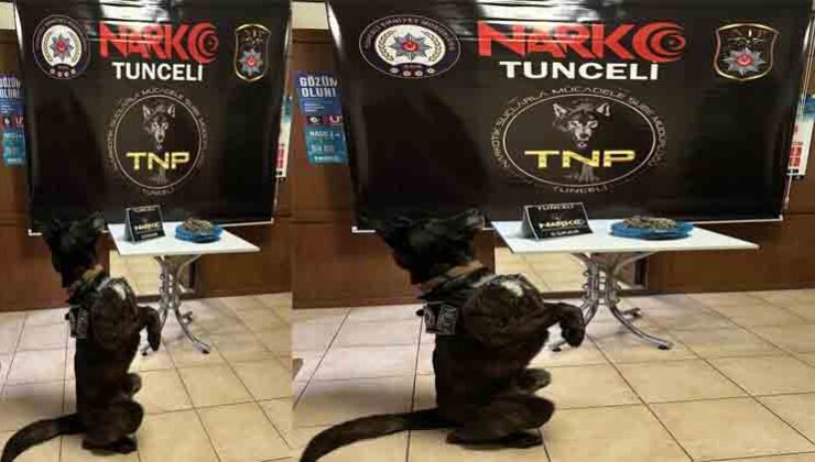 Tunceli’de Fırtına’nın uyuşturucu avı