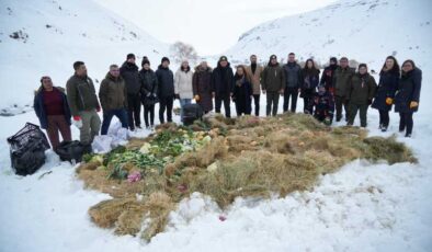 Vali Çakır, yaban hayvanlarına karlı dağlarda yem bıraktı