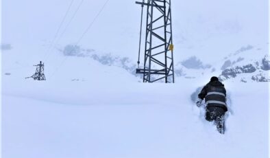 Dicle Elektrik 55 araç ve 197 personelle sahada