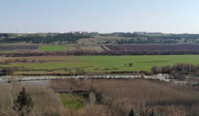 Dicle Nehri’nde Büyüleyici Kış Güzelliği