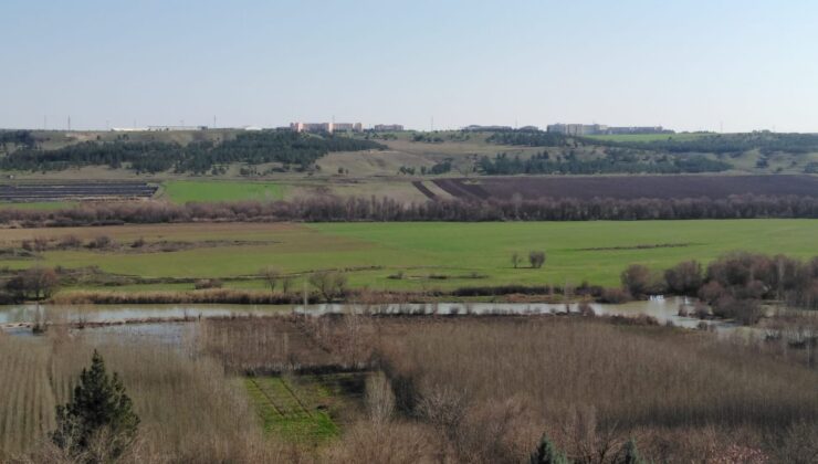 Dicle Nehri’nde Büyüleyici Kış Güzelliği